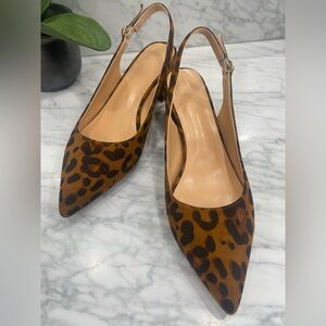 Women's Leopard Print Pointed Slingback Flats - Brown